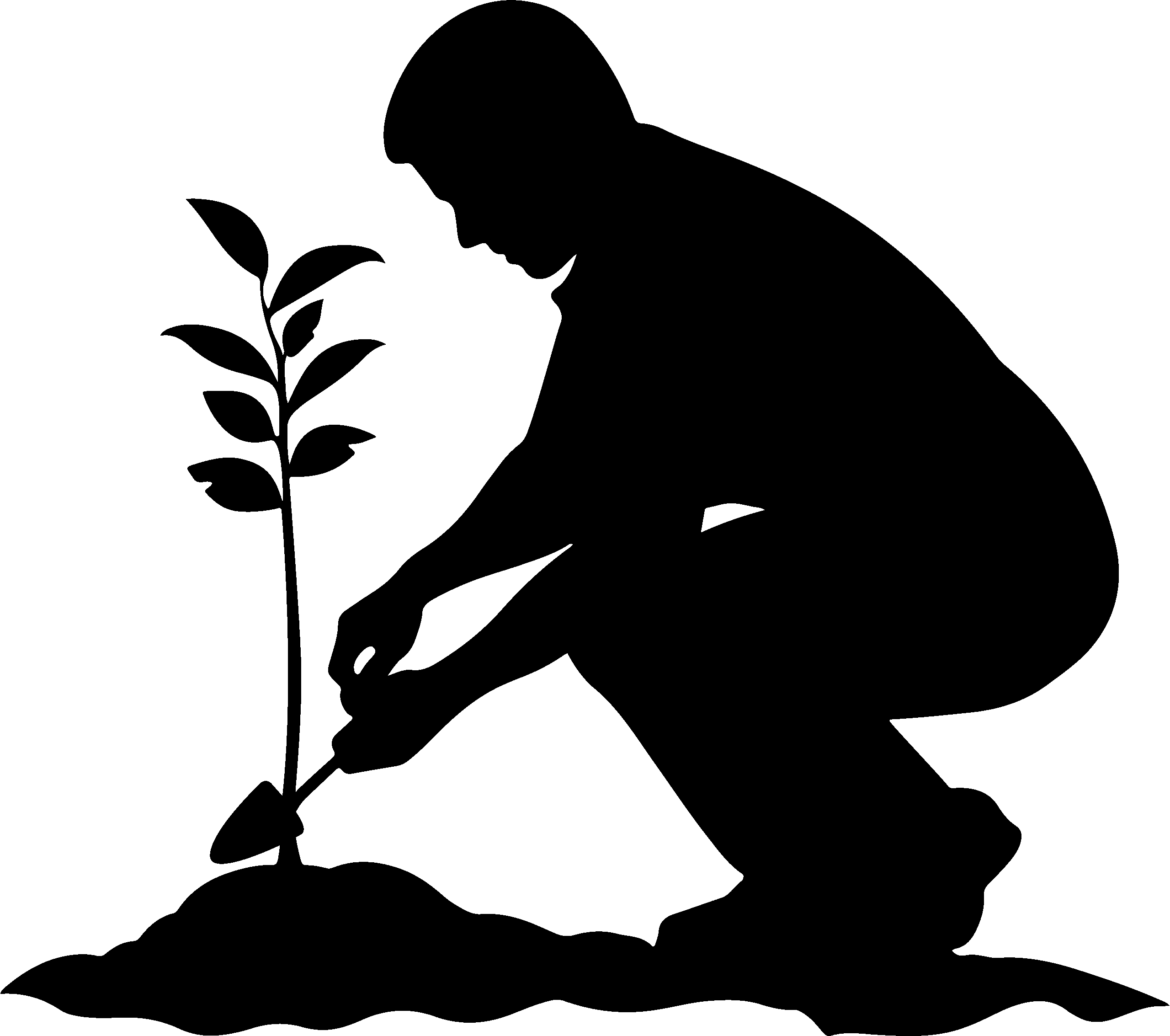 Man Planting A Plant Scaled