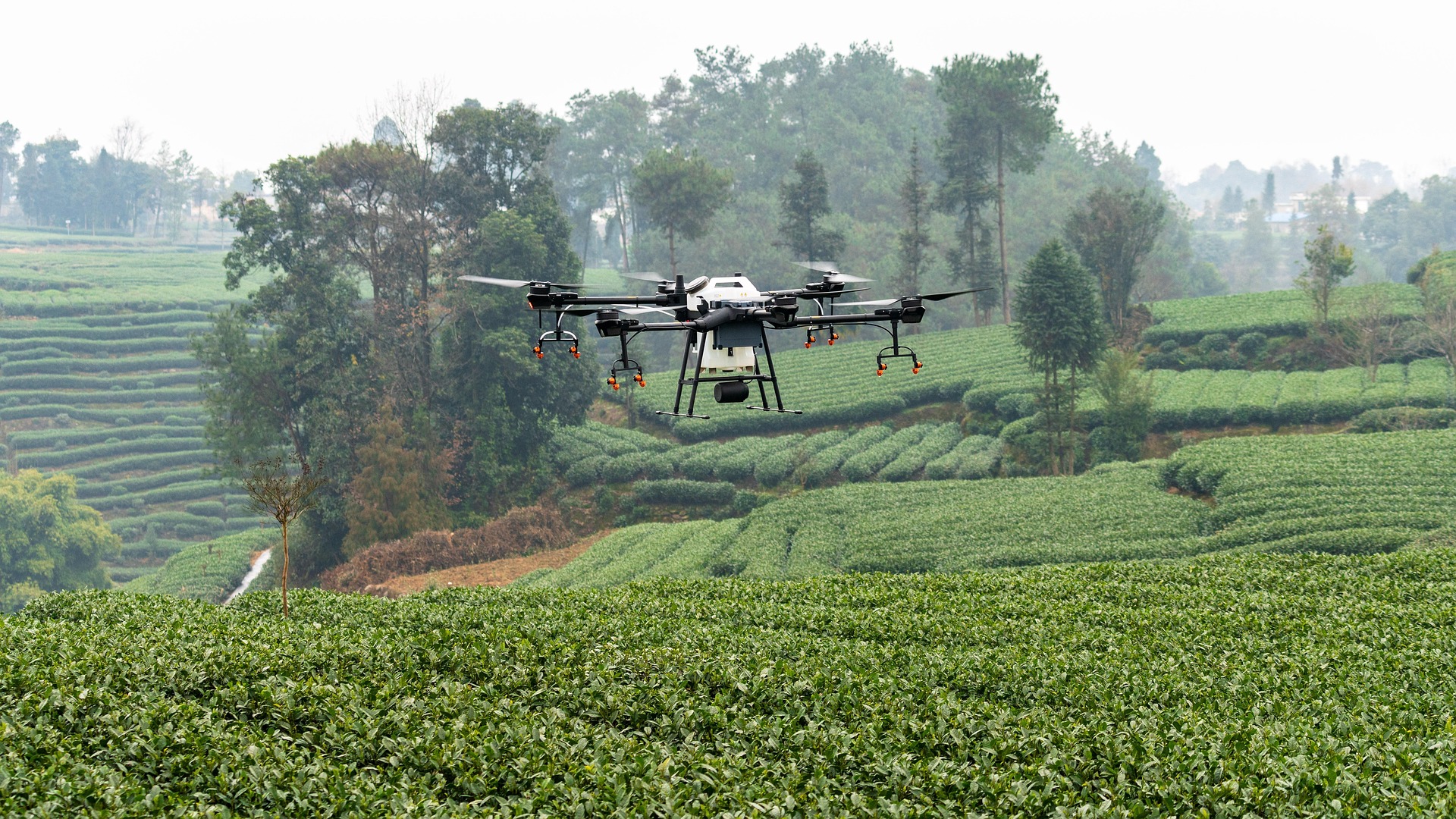 Dji 4204799 1920
